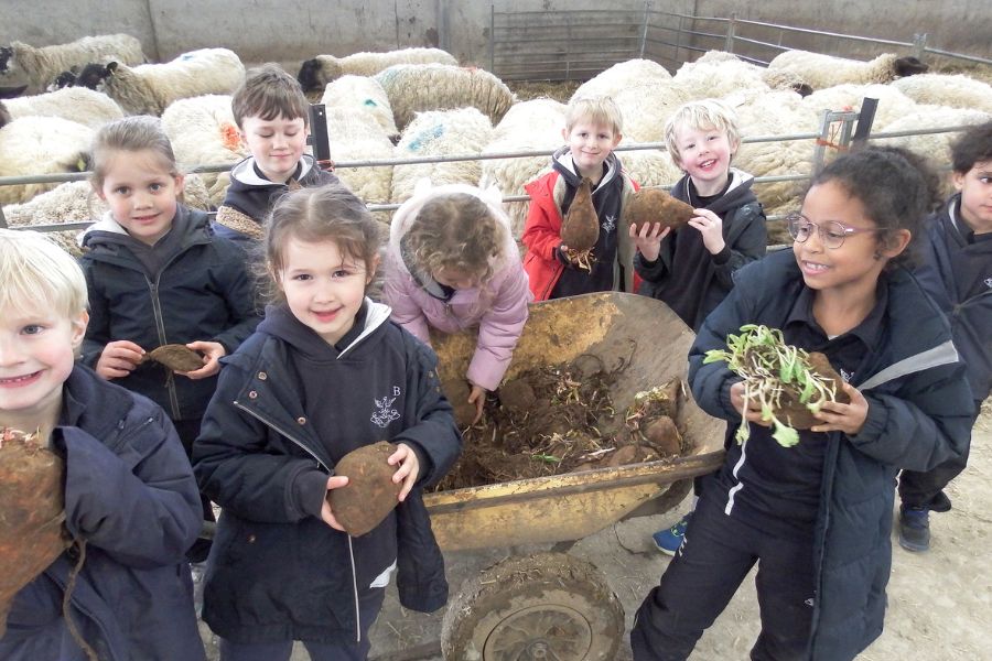 On the bright morning of Tuesday, 19th March, Glebe House School Pre Prep embarked on a day of exploration, learning, and fun at Park Farm in Snettisham...